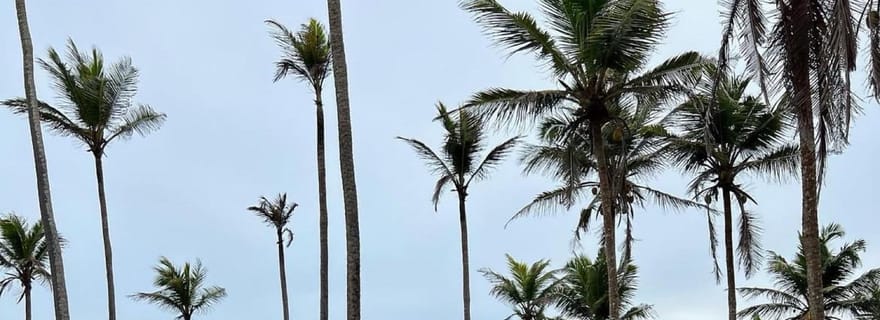 Mirissa et Tangalle : excursion en tuk-tuk et plage bleue