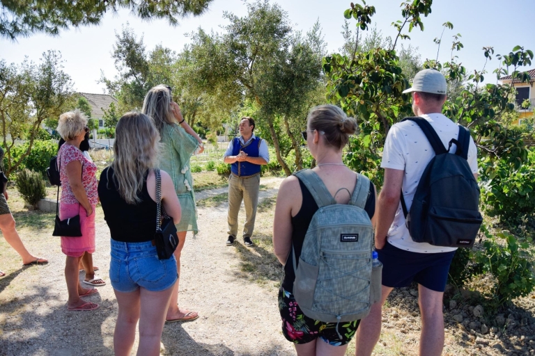 Zakynthos Guided Tour with Tasting, Boat Cruise & Farm Visit Zakynthos: Boat Tour, Swimming & Tasting in Organic Farm
