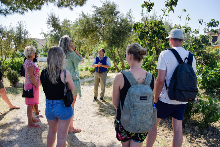 Zakynthos: VIP Halve Dag-Tour & Cruise naar Navagio & GrottenVIP Halfdaagse Tour & Cruise met proeverij bij lokale boerderij