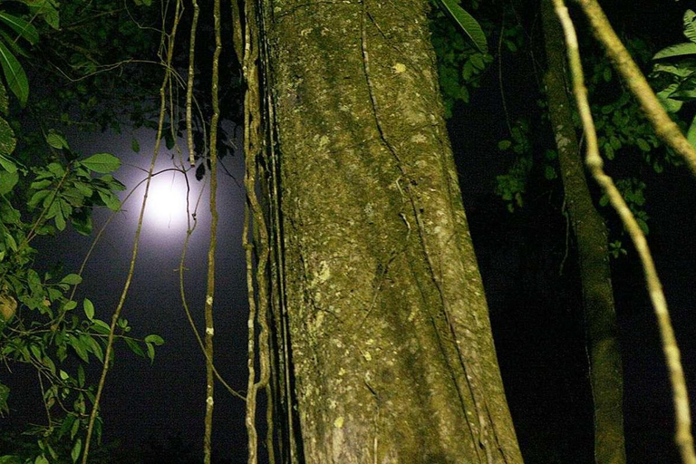 Desde Iquitos : Excursión de 6 días a la Selva Amazónica