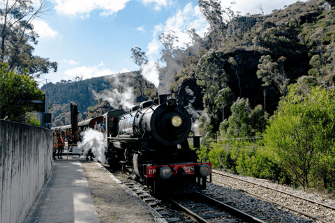 Blue Mountains Zig Zag Tour inc Three Sisters & Scenic World