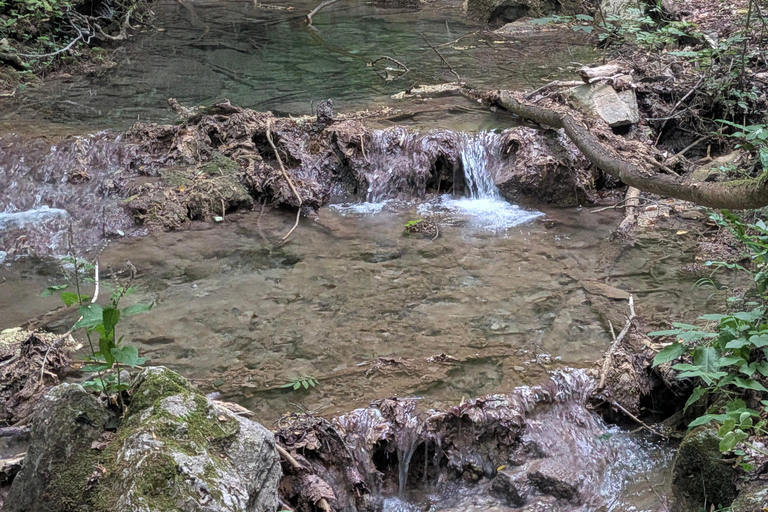 Sofia: Adventure Tour to Plovdiv and Rhodope Mountain