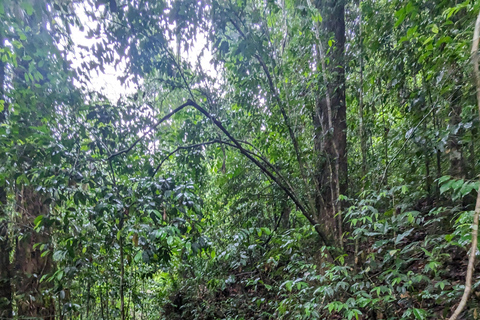 Negombo: 2-Day Sinharaja Rainforest Private Trip
