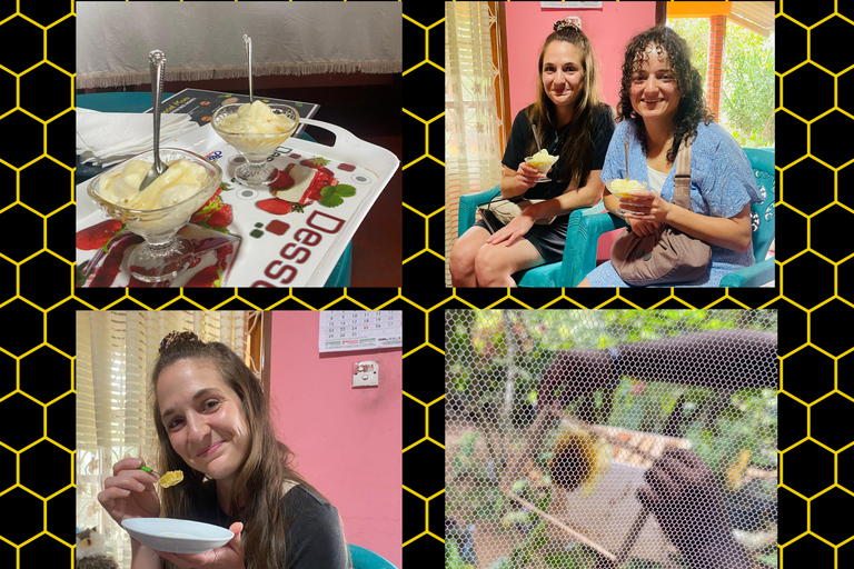 Ella: Bee Farm Tour With Honey Tasting Experience