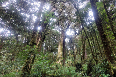 Volcan Barva Heredia Travel and Walk