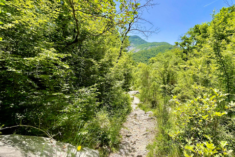 Excursion d&#039;une journée en Land Rover à la montagne Dajti et à la cascade Shengjergj