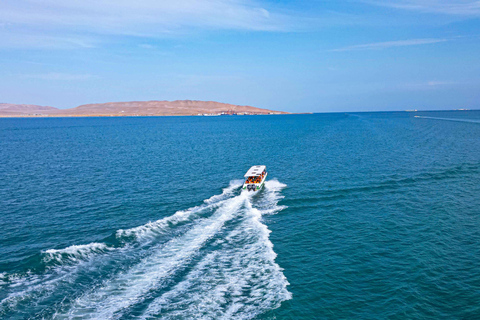 Paracas: Guidad tur med båt på Ballestasöarna