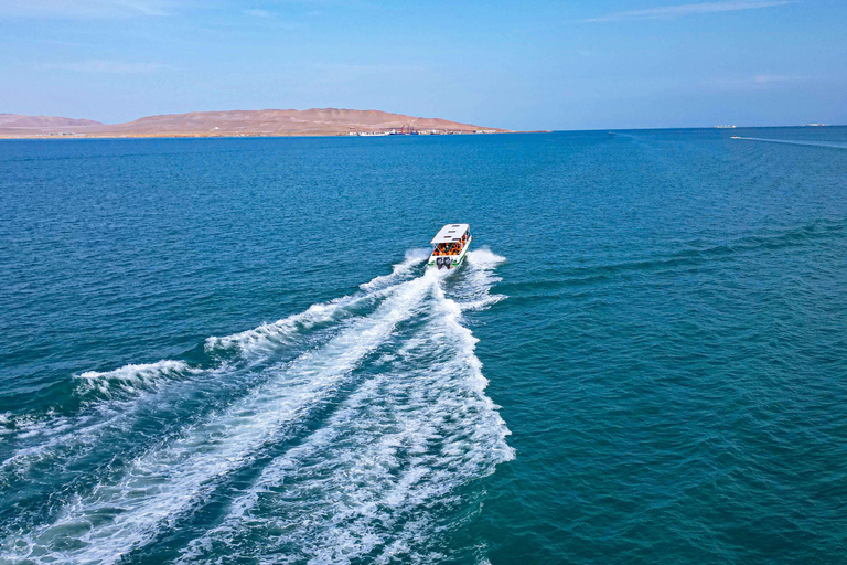 Paracas: Ballestas Islands Guided Boat Tour