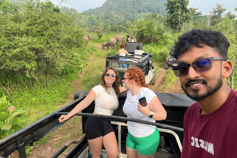 Wild Elephant Safari Tour Minneriya, Kaudulla & Hurulu ECO Start from Dambulla