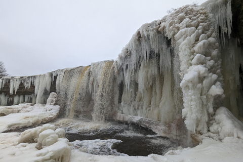 Au départ de Tallinn : Chute d&#039;eau de Jägala et pique-nique