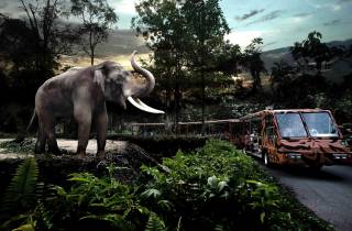Singapur: Nächtliche Safari mit Straßenbahnfahrt & Transfer