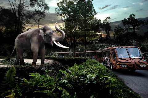 Singapura: Night Safari c/ Passeio de Bonde e Traslado