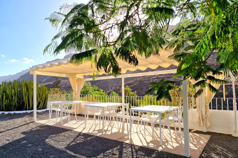 Gran Canaria: degustazione di vino e formaggio locale a Mogan