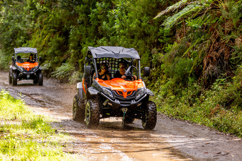 Madeira: AVENTURA DE BUGGY OFF-ROAD NAS FUNDURAS