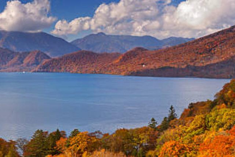 From Tokyo: Nikko World Heritage Sight Full Day Private Tour