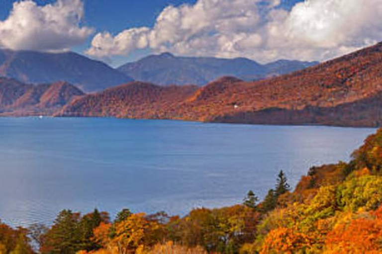 From Tokyo: Nikko World Heritage Sight Full Day Private Tour