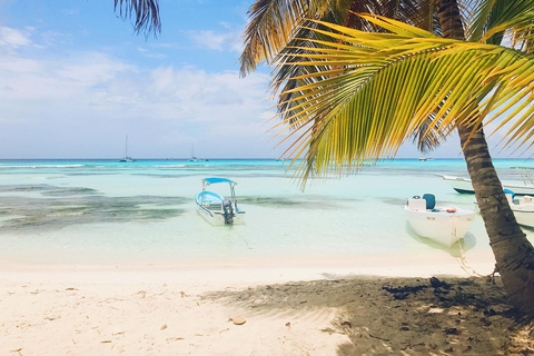 Punta Cana: Swim & Ride Horse on Caribbean Beach & Transport