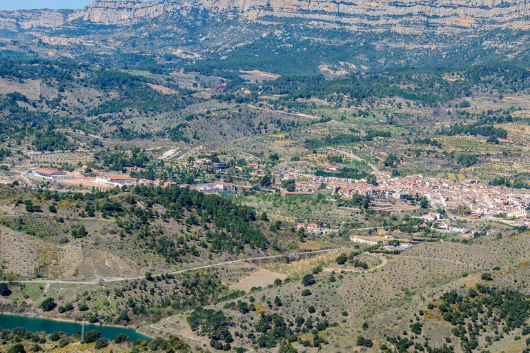 From Salou: 4x4 route from Cornudella to Falset and Gratallops