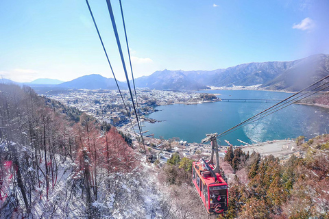 Mount Fuji Day Tour: Instagrammable Spots + Scenic Train From Tokyo (Including ropeway and cruise)