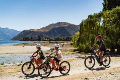 Wānaka: Gladstone Track and Wanaka Trails on Bike or eBike - Image 3