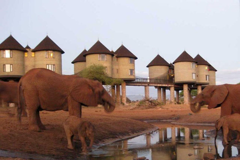 4 days Tsavo East, Amboseli and saltlick lodge safari