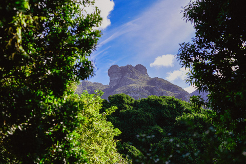 Botanische tuin Kirstenbosch en Constantia Wijnvallei