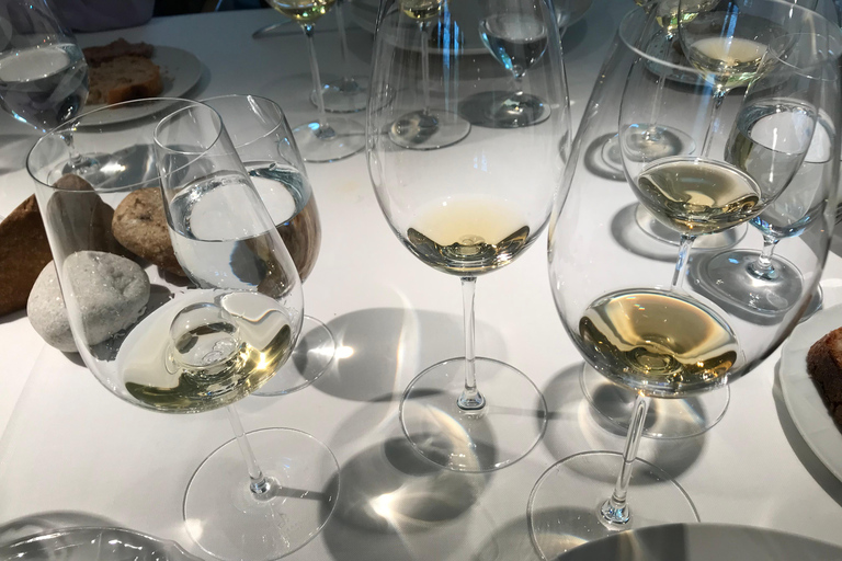 Catalogna: Visite alle cantine uniche e su misura