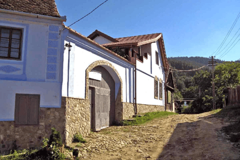 Au départ de Bucarest : excursion authentique dans des villages oubliés