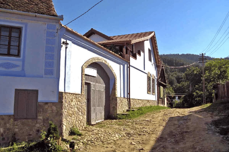 Au départ de Bucarest : excursion authentique dans des villages oubliés