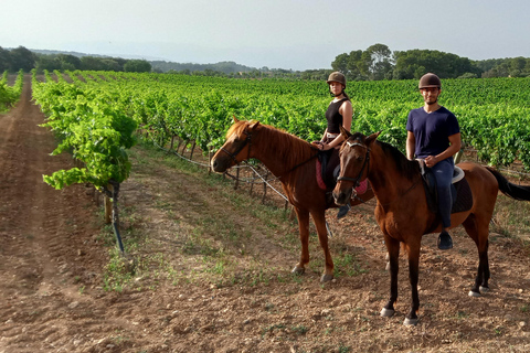 Mallorca: Randa Romántico Paseo a Caballo al Atardecer con Copas