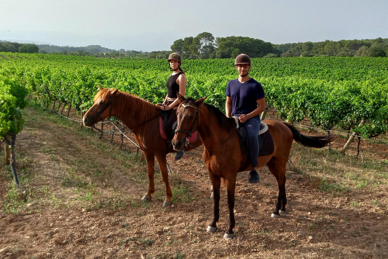 Mallorca: Randa Romántico Paseo a Caballo al Atardecer con Copas