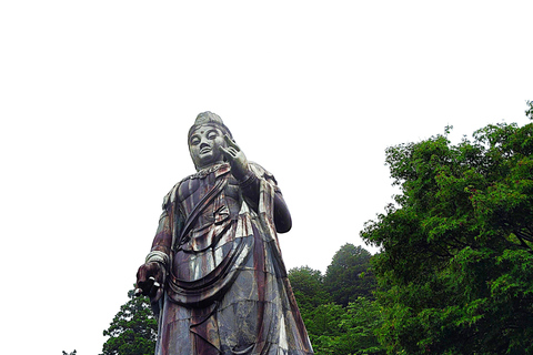 Nara: descubra un gigantesco Buda de piedra en las colinas boscosasNara: descubre un gigantesco Buda de piedra en las colinas boscosas