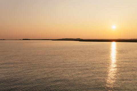 Hilton Head Island: croisière au coucher du soleil avec les dauphins