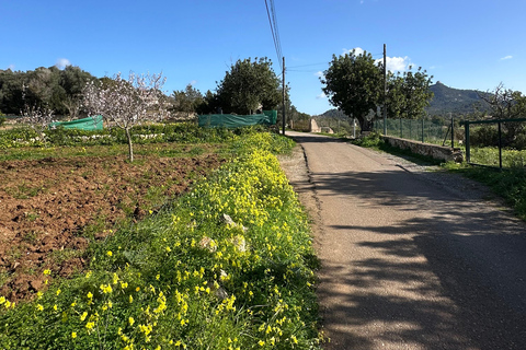 Hiking tour with a dream view of the former monastery of Sant Salvador, 3-4 hours. Hiking tour with fantastic views to the former Sant Salvador monastery 3-4 hrs.