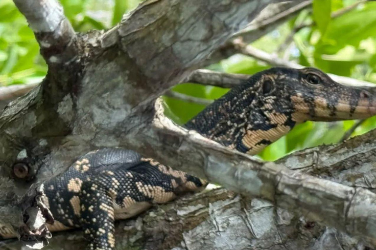 All-Inclusive Galle Dutch Fort, Koggala Lake & Kayak Tour From Tangalle: Galle Dutch Fort, Koggala Lake & Kayak