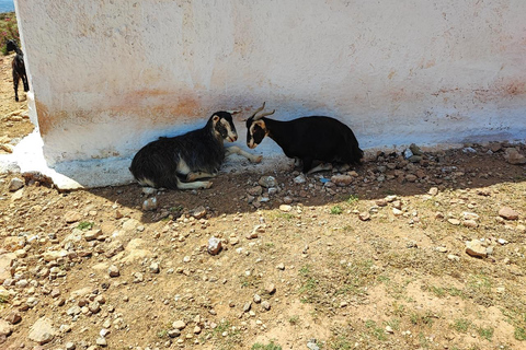 خانيا: جولة سفاري جيب بالوس 4 × 4 من كيساموس