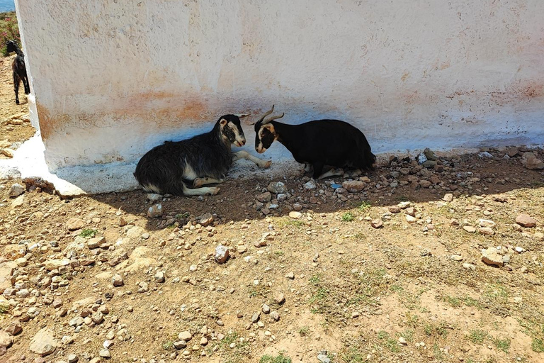 خانيا: جولة سفاري جيب بالوس 4 × 4 من كيساموس