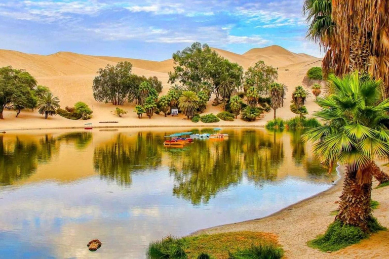 Depuis Lima : 1 journée Îles Ballestas + Oasis de Huacachina