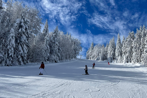 Guided ski tours in the Bavarian Forest