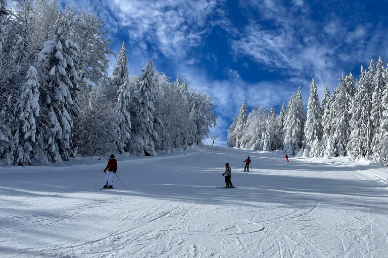 Guided ski tours in the Bavarian Forest