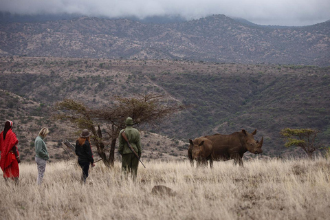 Uganda: 4-dagars safari med flygande gorillatrekkingPer person delat pris för fyra personer