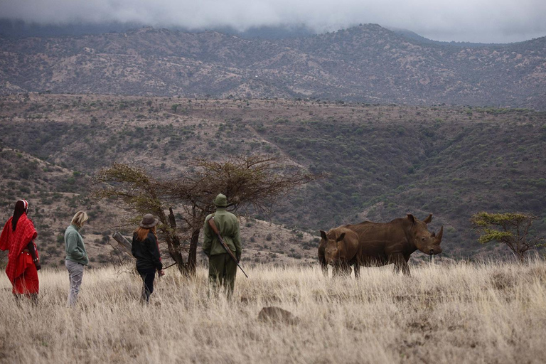 Uganda: 4-dagars safari med flygande gorillatrekkingPer person delat pris för fyra personer