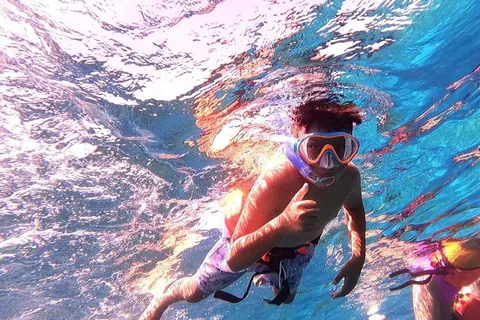 Cozumel : Parc d'aventure et plongée en apnée sur la plage de Chankanaab