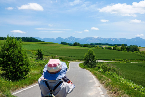 Hokkaido Summer Nature Experience: Furano & Biei