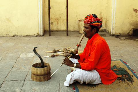 Z Delhi: 7-dniowa wycieczka po Złotym Trójkącie Jodhpur - UdaipurZ zakwaterowaniem w 5-gwiazdkowym hotelu