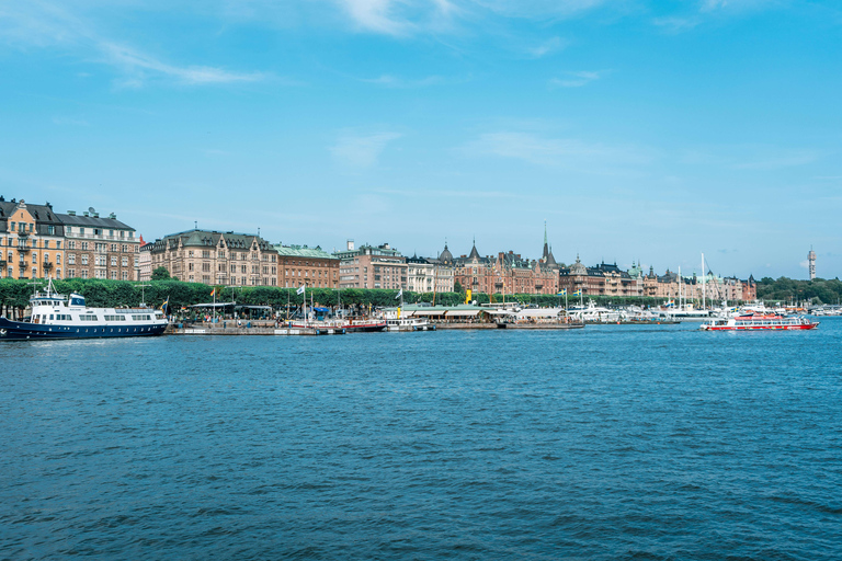 Estocolmo: tour guiado de 3 horas em bicicleta particularVisita em inglês, alemão, francês, italiano, espanhol ou sueco