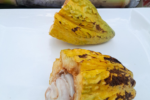 Uganda: Baganda Culture Day Tour with Lunch and Transfers