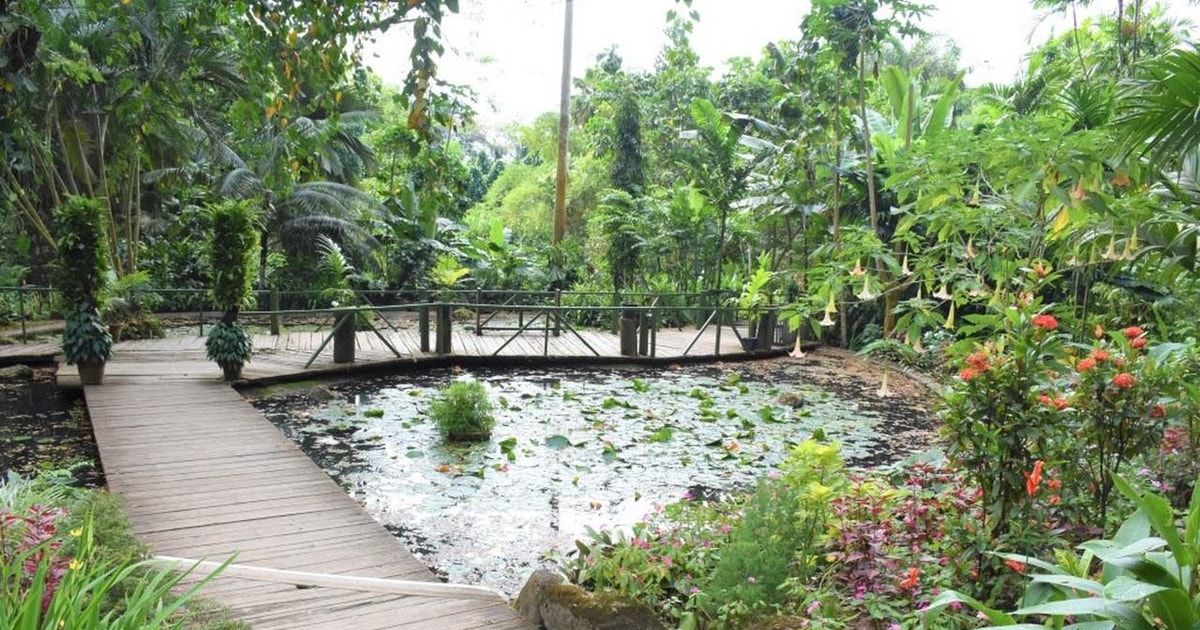Garten des schlafenden Riesen mit SabetoSchlammpool und