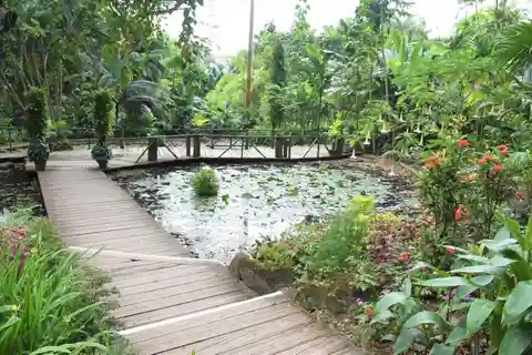 Jardin du géant endormi avec piscine de boue et source thermale de Sabeto