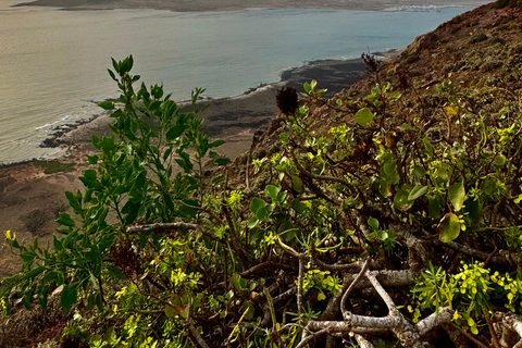 Magical Lanzarote: Northern Island Tour